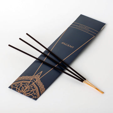 Ascent Coconut Incense