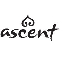 Ascent Bulk Incense One of Each Fragrance